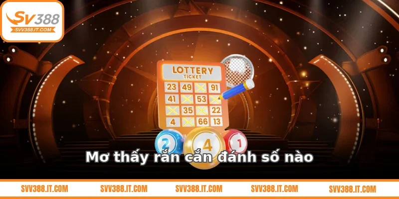 Mơ thấy rắn cắn đánh số nào?