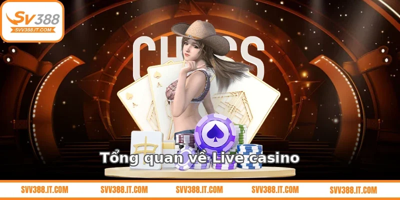 Tổng quan về Live casino