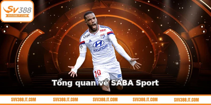 Tổng quan về SABA Sport