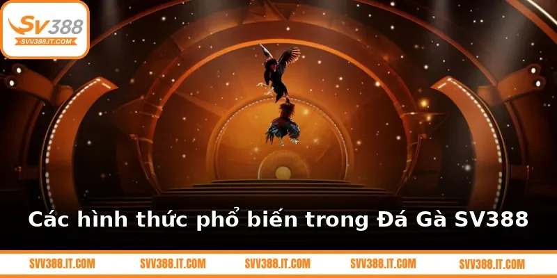 Các hình thức phổ biến trong Đá Gà SV388