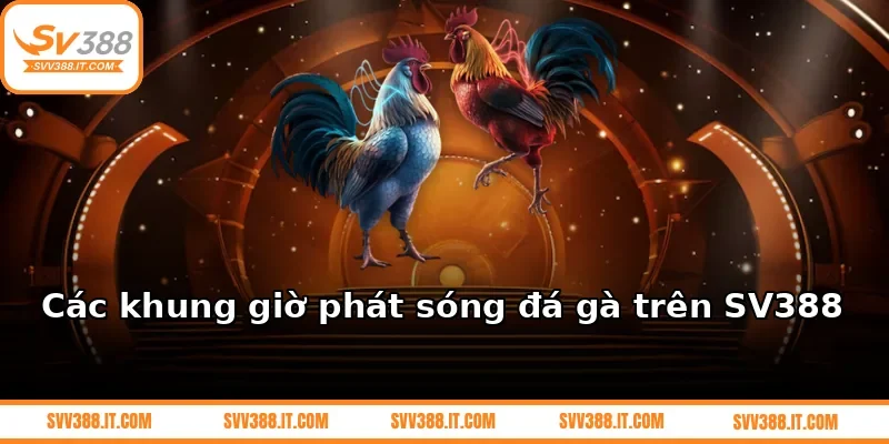 Các khung giờ phát sóng đá gà trên SV388