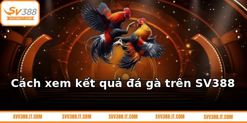 Cách xem kết quả đá gà trên SV388