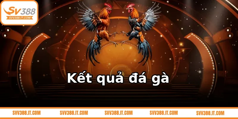 Kết quả đá gà