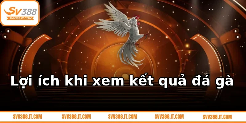 Lợi ích khi xem kết quả đá gà 