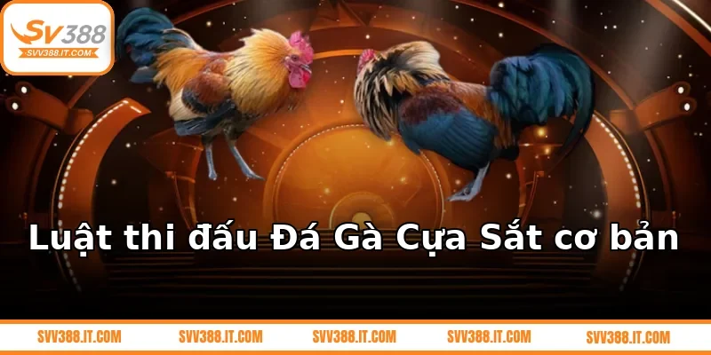 Luật thi đấu Đá Gà Cựa Sắt cơ bản
