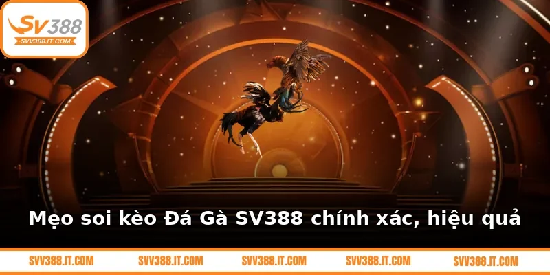 Mẹo soi kèo Đá Gà SV388 chính xác, hiệu quả