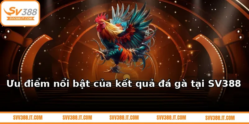 Ưu điểm nổi bật của kết quả đá gà tại SV388