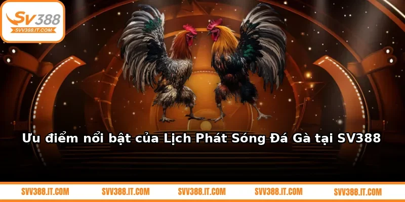 Ưu điểm nổi bật của Lịch Phát Sóng Đá Gà tại SV388